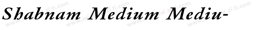 Shabnam Medium Mediu字体转换